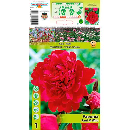 Pojeng Paul M Wild interface.art foto 1 Pojeng Paul M Wild interface.image 1 interface.art 76338