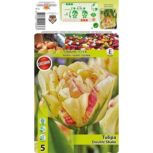 Pojengtulp Double Shake interface.art foto 1 Pojengtulp Double Shake interface.image 1 interface.art 68404