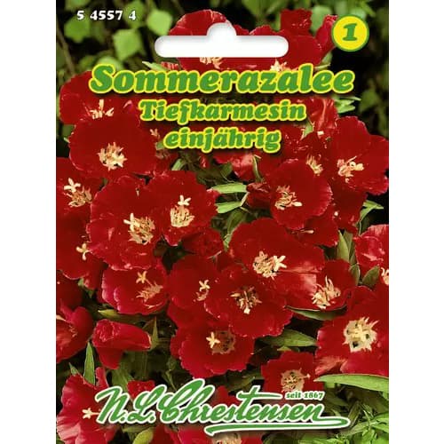 Punased sametlilled interface.image 1 interface.art 96425