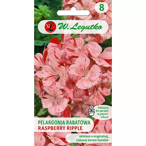 Rabate pelargonium Divas F1- Raspberry Ripple interface.art foto 1 Rabate pelargonium Divas F1- Raspberry Ripple interface.image 1 interface.art 69618