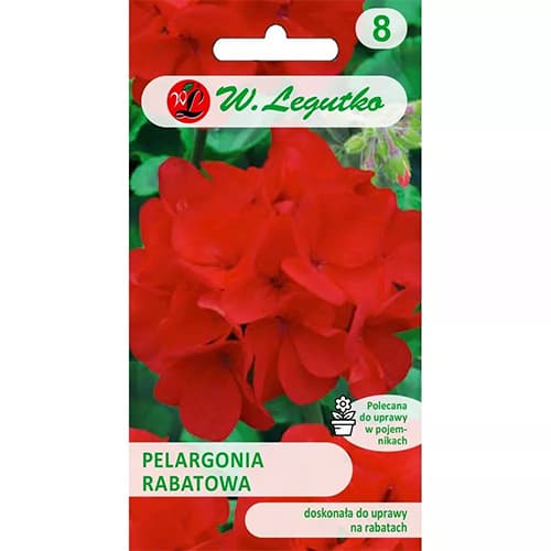 Rabate pelargonium Gama F1 punane interface.art foto 1 Rabate pelargonium Gama F1 punane interface.image 1 interface.art 78632
