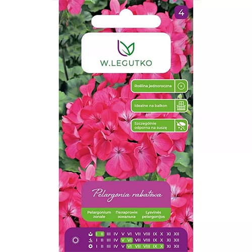 Rabate pelargonium Gama F1 - roosa interface.image 1 interface.art 69621