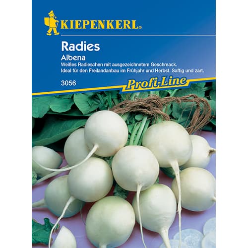 Redised Albena interface.art foto 1 Redised Albena interface.image 1 interface.art 86508