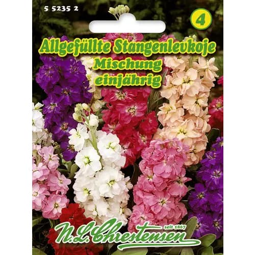 Ristõielised, segu interface.image 1 interface.art 96437