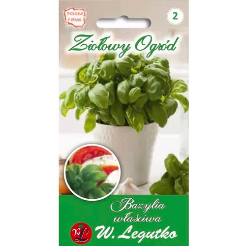 Rohelise lehe basiilik Legutko interface.image 1 interface.art 50126