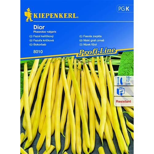 Rohelised oad Dior interface.image 1 interface.art 87275