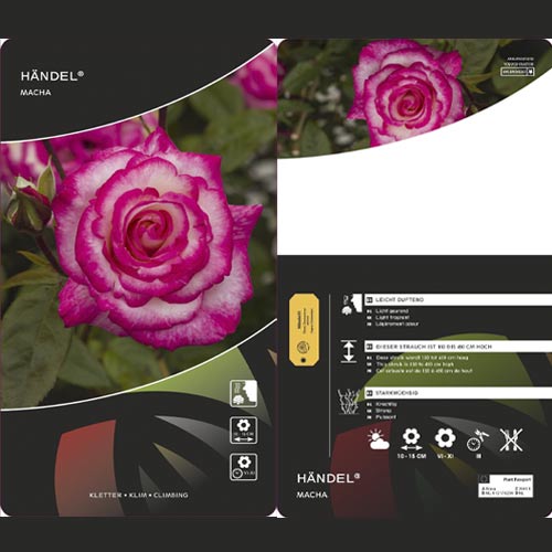 Roniroos Händel ®, С3 interface.art foto 3 Roniroos Händel ®, С3 interface.image 3 interface.art 6179