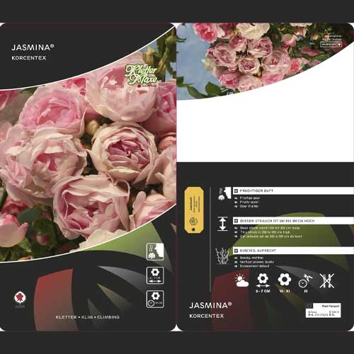 Roniroos Jasmina ®, С5 interface.art foto 3 Roniroos Jasmina ®, С5 interface.image 3 interface.art 6180