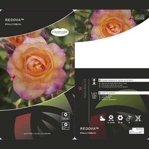 Roniroos Redova ®, С5 interface.art foto 3 Roniroos Redova ®, С5 interface.image 3 interface.art 6182