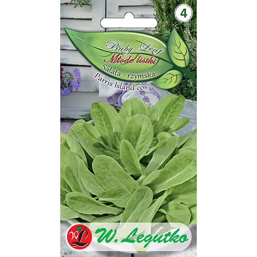 Rooma salat Parris Island cos - Baby Leaf interface.art foto 1 Rooma salat Parris Island cos - Baby Leaf interface.image 1 interface.art 86714