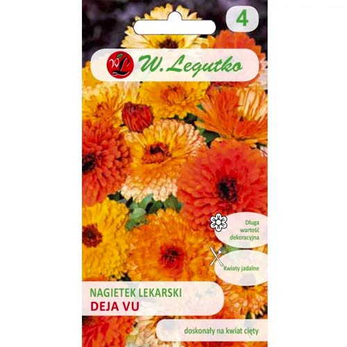 Saialilled Deja Vu Legutko interface.art foto 1 Saialilled Deja Vu Legutko interface.image 1 interface.art 96759