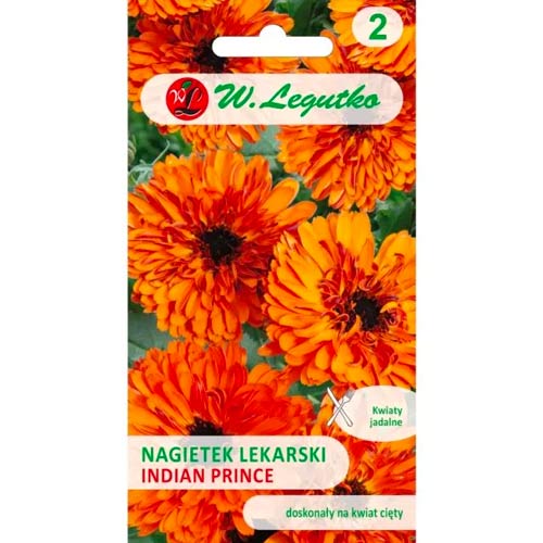 Saialilled Indian Prince Legutko interface.art foto 1 Saialilled Indian Prince Legutko interface.image 1 interface.art 78581