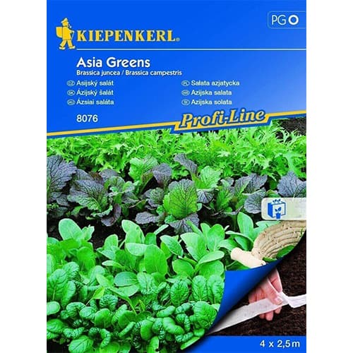 Salat Asia-Salat Asia Greens, Saatband interface.art foto 1 Salat Asia-Salat Asia Greens, Saatband interface.image 1 interface.art 87765