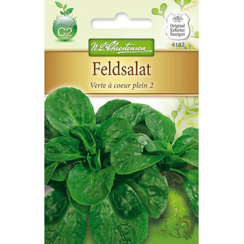 Salat Verte a coeur plein 2 interface.image 1 interface.art 78766