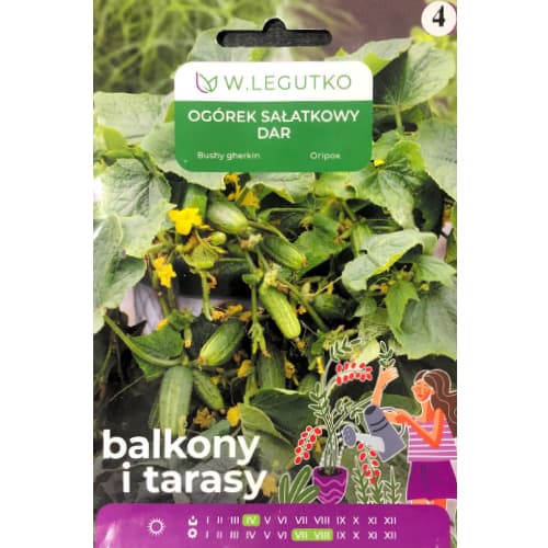 Salatikurgi Dar interface.image 1 interface.art 69647