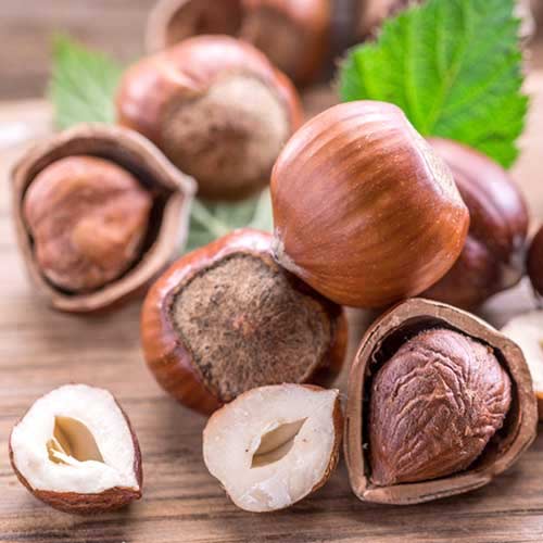 Sarapuupähkel Ennis interface.image 1 interface.art 6934