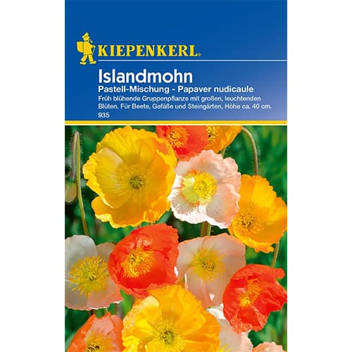 Siberi magunid Pastell, segu interface.image 1 interface.art 77422