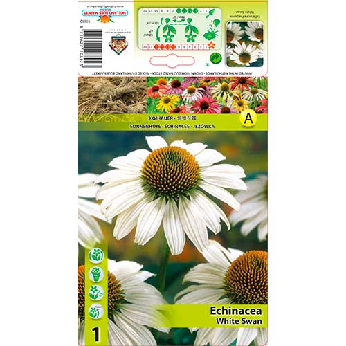 Siilkübar (Echinacea) White Swan interface.art foto 1 Siilkübar (Echinacea) White Swan interface.image 1 interface.art 76624