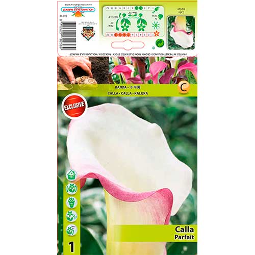 Soovõhk Parfait interface.image 1 interface.art 76195