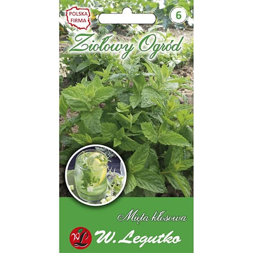 Spike mint interface.image 1 interface.art 69679