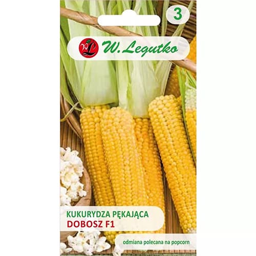 Suhkrumais Dobosz F1 interface.image 1 interface.art 78481