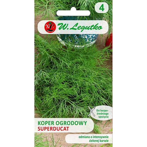 Superducat till interface.art foto 1 Superducat till interface.image 1 interface.art 78478