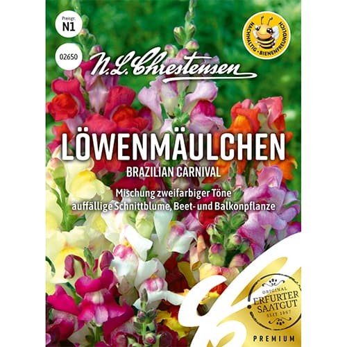 Suured lõvilõuad, Brazilian Carnival, segu interface.image 1 interface.art 86167