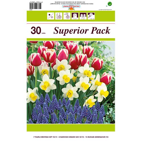 Suurepärane pakkumine! Jõulukink Tulip, Narrill Smiling Sun, Muscari Armeenia, 30 sibulaga komplekt interface.art foto 1 Suurepärane pakkumine! Jõulukink Tulip, Narrill Smiling Sun, Muscari Armeenia, 30 sibulaga komplekt interface.image 1 interface.art 67542