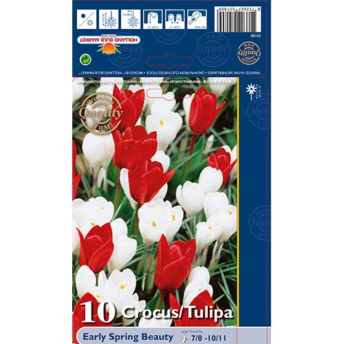 Suurepärane pakkumine! Tulip, Crocus Early Spring Beauty, 10 sibula komplekt interface.art foto 1 Suurepärane pakkumine! Tulip, Crocus Early Spring Beauty, 10 sibula komplekt interface.image 1 interface.art 67543