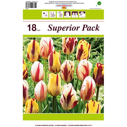 Suurepärane pakkumine! Tulip Grace, 18 sibula komplekt interface.art foto 1 Suurepärane pakkumine! Tulip Grace, 18 sibula komplekt interface.image 1 interface.art 67558