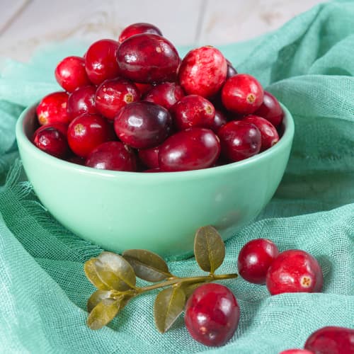 Suureviljaline jõhvikas Piligrim, P9 interface.image 1 interface.art 9311