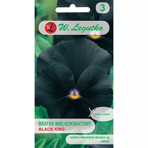 Suurõielised paanid Black King Legutko interface.art foto 1 Suurõielised paanid Black King Legutko interface.image 1 interface.art 69570