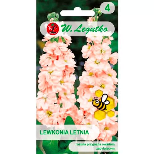 Suvine rukkilill Excelsior lõhe Legutko interface.image 1 interface.art 87081