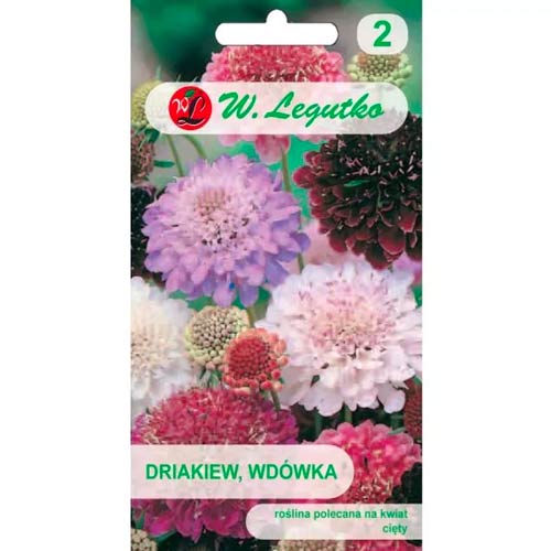 Tähtpead Wdowka, segu Legutko interface.art foto 1 Tähtpead Wdowka, segu Legutko interface.image 1 interface.art 96698