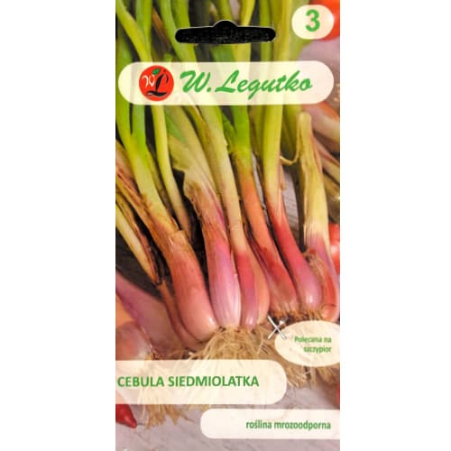 Talvine pesasibul interface.image 1 interface.art 78451