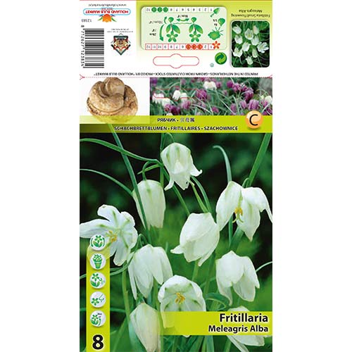 Teder (fritillaria) Meleagris Alba interface.art foto 1 Teder (fritillaria) Meleagris Alba interface.image 1 interface.art 70288