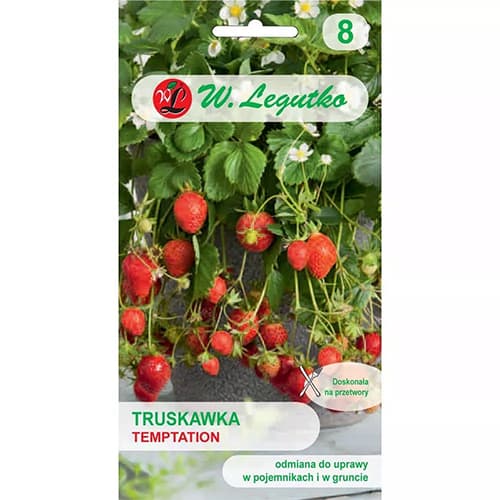 Temptation maasikas interface.image 1 interface.art 69548