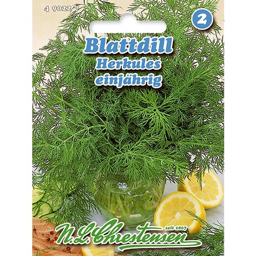 Till Herkules interface.image 1 interface.art 86000