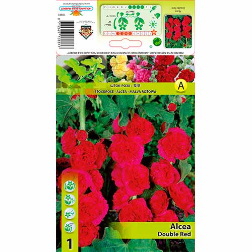 Tokkroos Red interface.art foto 1 Tokkroos Red interface.image 1 interface.art 76159