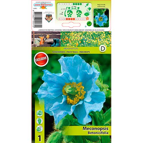 Tõnnikeselehine ebamagun interface.image 1 interface.art 76586