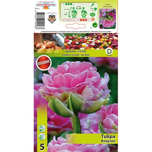 Tulip Aveyron interface.art foto 1 Tulip Aveyron interface.image 1 interface.art 68075