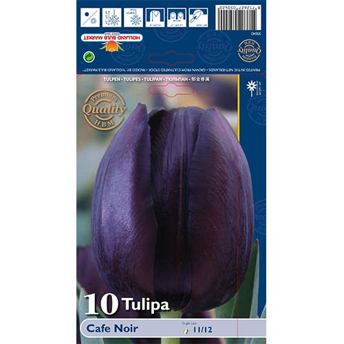 Tulip Cafe Noir interface.art foto 1 Tulip Cafe Noir interface.image 1 interface.art 67739