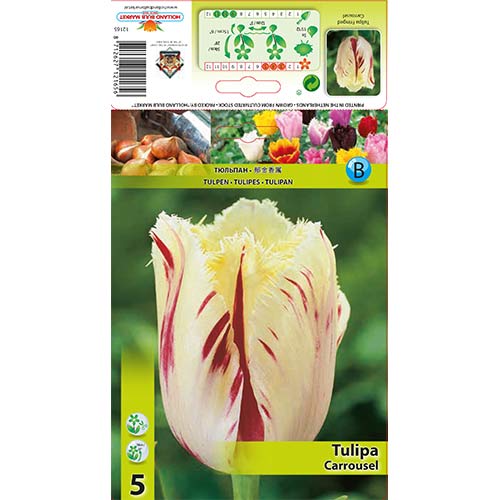 Tulip Carrousel interface.art foto 1 Tulip Carrousel interface.image 1 interface.art 70298