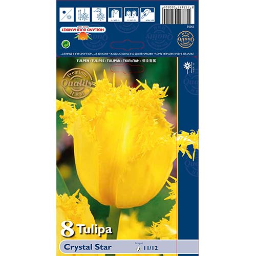 Tulip Crystal Star interface.art foto 1 Tulip Crystal Star interface.image 1 interface.art 67744