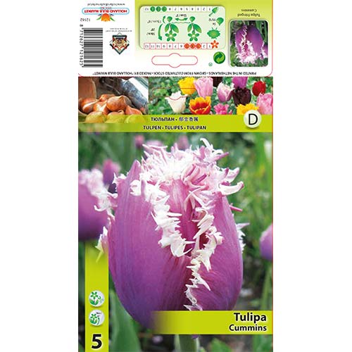 Tulip Cummins interface.art foto 1 Tulip Cummins interface.image 1 interface.art 70291