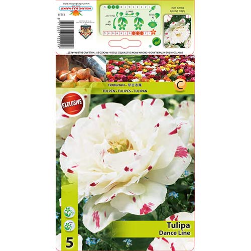 Tulip Dance Line interface.image 1 interface.art 67457