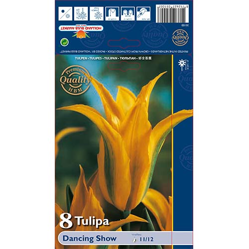 Tulip Dancing Show interface.art foto 1 Tulip Dancing Show interface.image 1 interface.art 67513