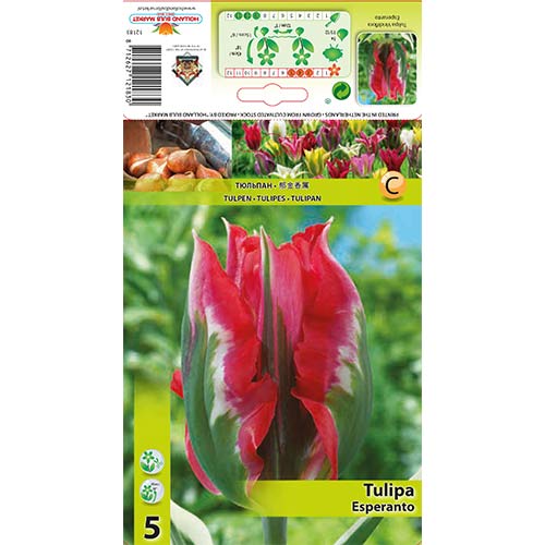 Tulip Esperanto interface.art foto 1 Tulip Esperanto interface.image 1 interface.art 67869