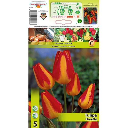 Tulip Florette interface.art foto 1 Tulip Florette interface.image 1 interface.art 70305
