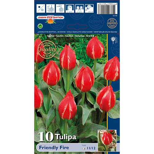 Tulip Friendly Fire interface.art foto 1 Tulip Friendly Fire interface.image 1 interface.art 70264